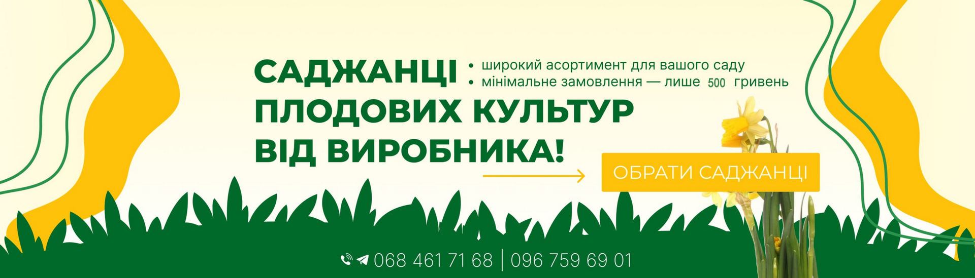 Саджанці плодових культур від виробника